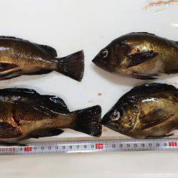 メバリング　ＮＯ．２